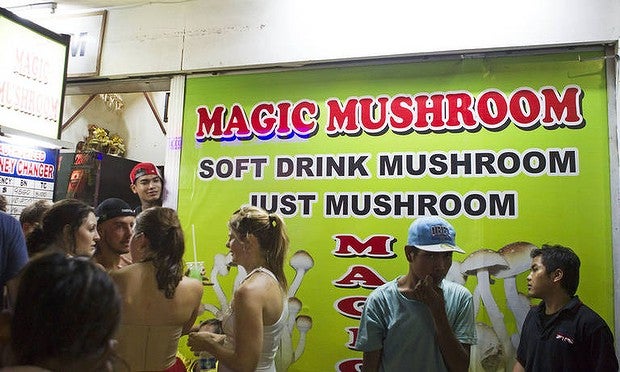 Singaporean Student Passes Away After Falling From Building, Drank Magic Mushrooms - World Of Buzz 1