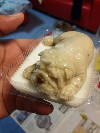 Thai Dessert Shop Creates Viral Puppy-Shaped Puddings, Causes Netizens to Have Mixed Reactions - World Of Buzz 2