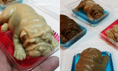 Thai Dessert Shop Creates Viral Puppy-Shaped Puddings, Causes Netizens To Have Mixed Reactions - World Of Buzz 6