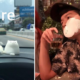 Thai Netizen Shares Funny Post On How Hot Sun Melted Adorable Stress Toys - World Of Buzz 8
