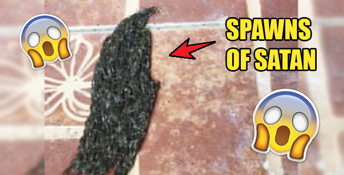 This Viral Video Of Larvae Swarming Together Is Not For Everyone - World Of Buzz 2