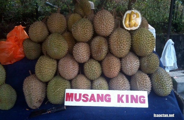Tips in Identifying Musang King - World Of Buzz 1