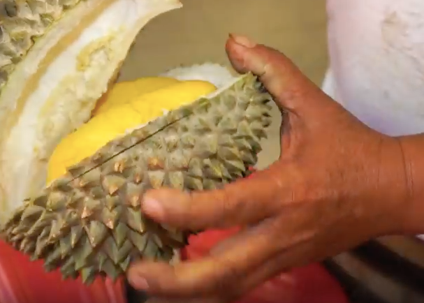 Tips in Identifying Musang King - World Of Buzz 2