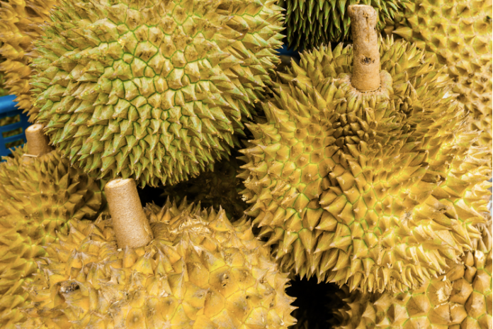 Tips in Identifying Musang King - World Of Buzz 3