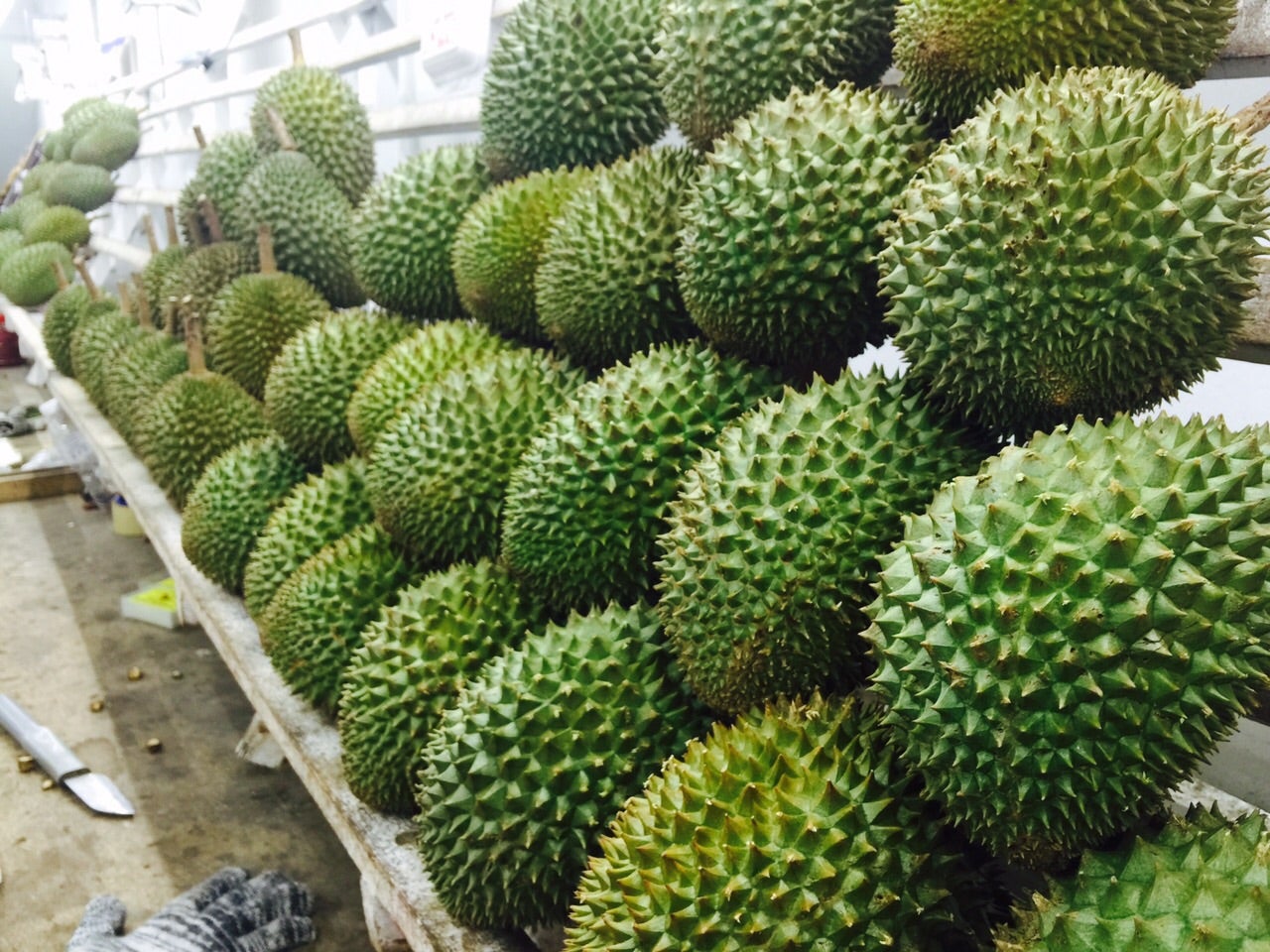 6 Easy Tips For Malaysians to Identify a Musang King Durian - WORLD OF BUZZ