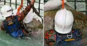 Turtle Trapped in Port Dickson Power Station Rescued by Firemen - World Of Buzz 2