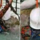 Turtle Trapped In Port Dickson Power Station Rescued By Firemen - World Of Buzz 2