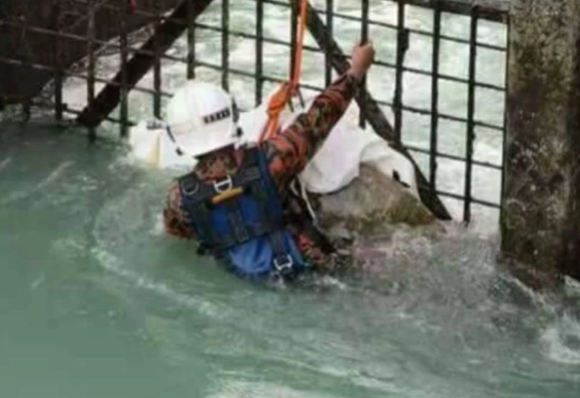 Turtle Trapped In Port Dickson Power Station Rescued By Firemen - World Of Buzz