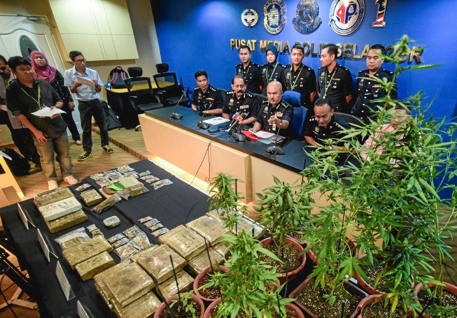 Couple Caught Growing 38 Ganja Plants in Puchong Condo Faces Death Penalty - World Of Buzz 2