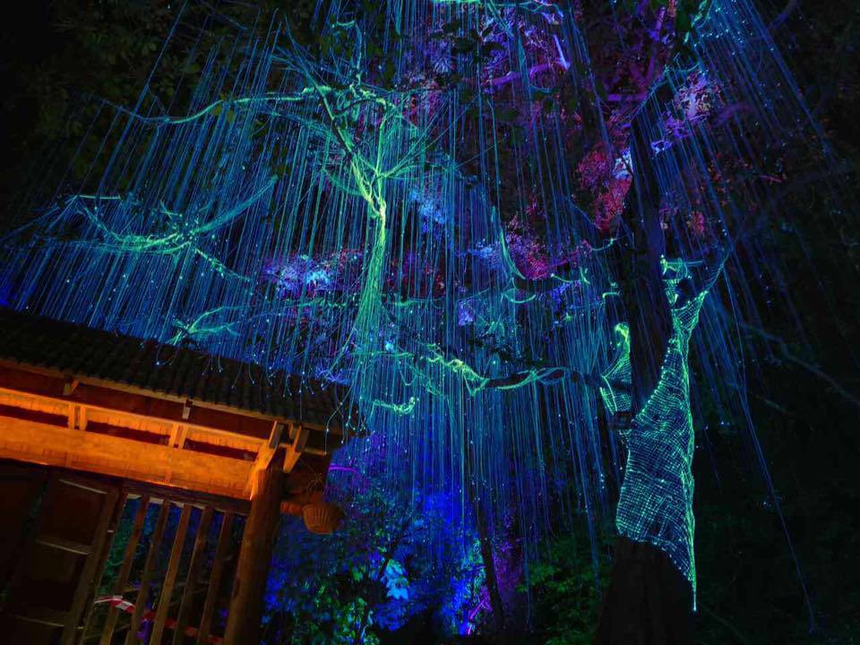 Discover Penang's New Hidden Gem That Looks Just Like a Scene from Avatar - World Of Buzz