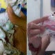 Family Horrified To Discover Their Cushions Stuffed With Sanitary Pads And Diapers - World Of Buzz 4