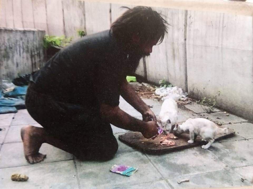 Homeless Man from Bangkok Sells Limes Just to Feed Beloved Stray Cat - WORLD OF BUZZ 2