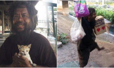 Homeless Man From Bangkok Sells Limes Just To Feed Beloved Stray Cat - World Of Buzz 4