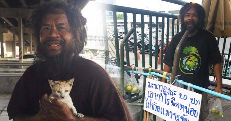 Homeless Man From Bangkok Sells Limes To Feed His Beloved Cat World Of Buzz 2 1