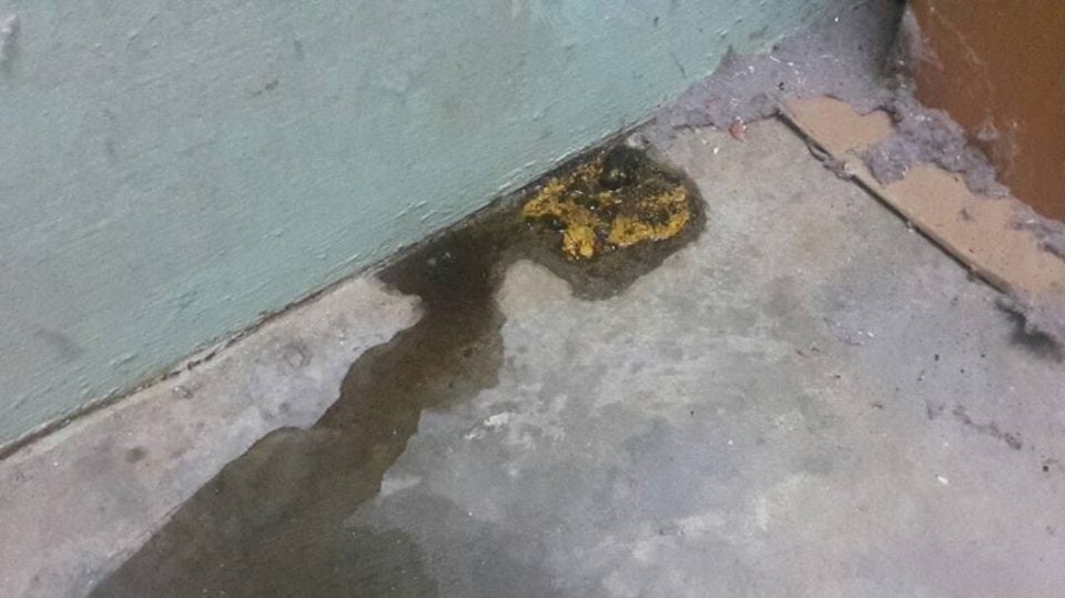 Huge Snake Slithers Into Malaysian's House For Few Days Vacation Finally Discovered and Caught - World Of Buzz 3