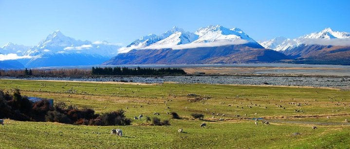 New Zealand Welcomes International Students and Workers due to Dwindling Population - World Of Buzz 2