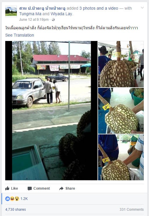 Thai Farmer Sells 'Thornless Durians', Netizens Have no Idea What to Think - World Of Buzz 2