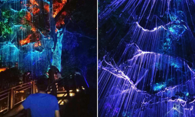 This New Hidden Gem In Penang Looks Just Like A Movie Scene From Avatar - World Of Buzz 4