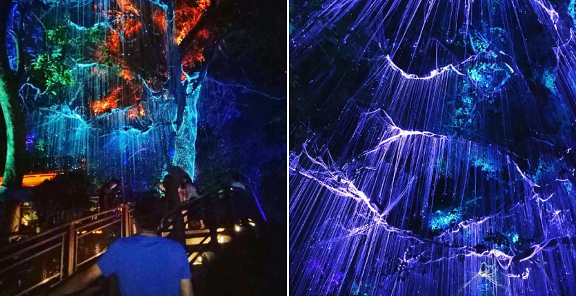 This New Hidden Gem In Penang Looks Just Like A Movie Scene From Avatar - World Of Buzz 4
