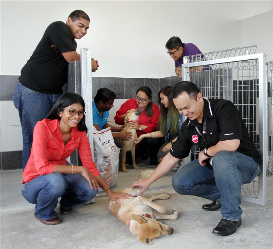 Tony Fernandes Reveals Names of Four Adorable Stray Dogs Adopted by AirAsia - World Of Buzz 3