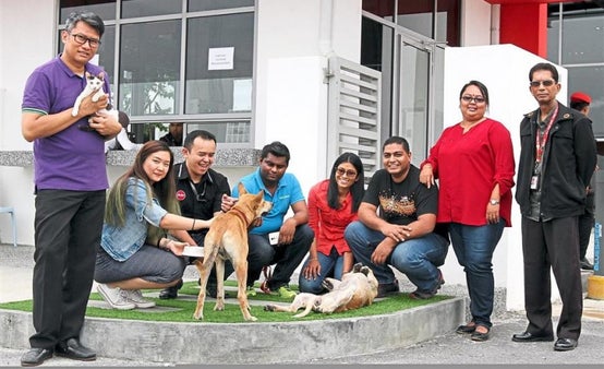 Tony Fernandes Reveals Names Of Four Adorable Stray Dogs Adopted By Airasia - World Of Buzz 4