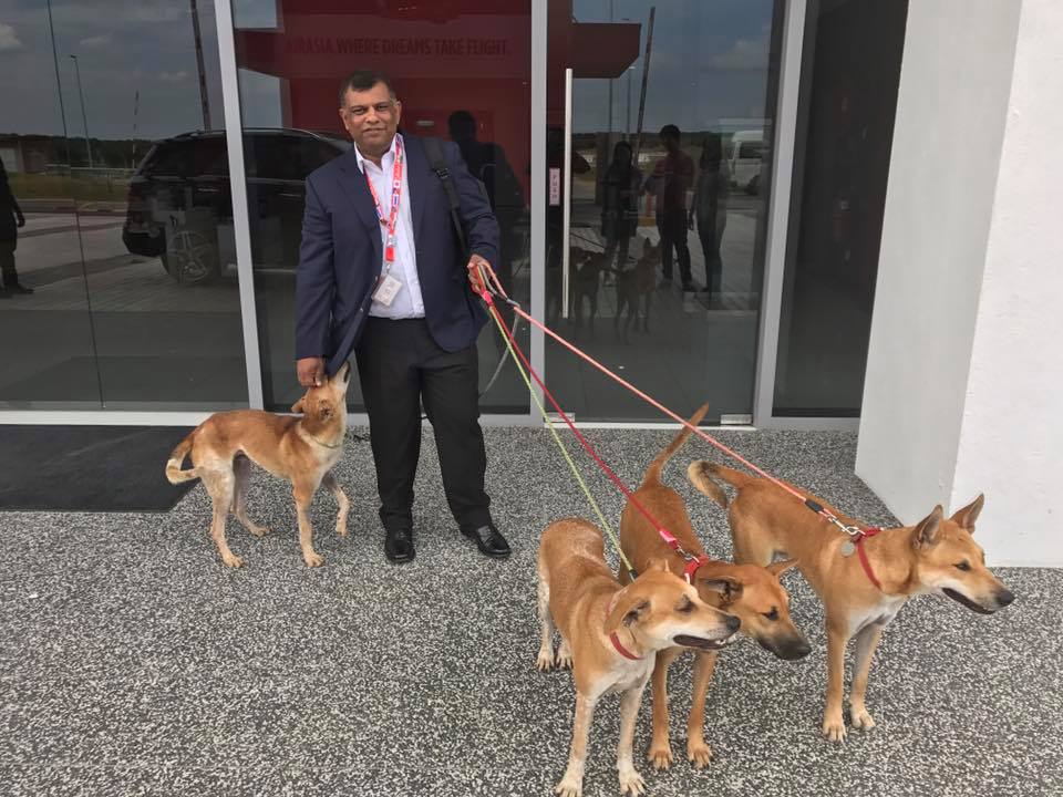 Tony Fernandes Reveals Names of Four Adorable Stray Dogs Adopted by AirAsia - World Of Buzz