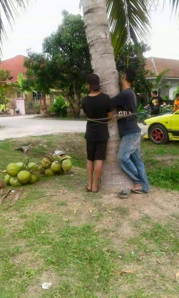 Villagers Catch Two Men Stealing Coconuts, Ties Them to Tree as Punishment - World Of Buzz 2
