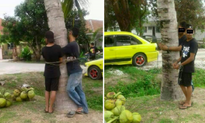 Villagers Catch Two Men Stealing Coconuts, Ties Them To Tree As Punishment - World Of Buzz 4
