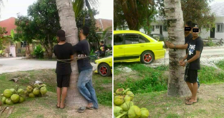 Villagers Catch Two Men Stealing Coconuts, Ties Them To Tree As Punishment - World Of Buzz 4