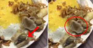 Viral Video Shows Worm 'Dancing' on Raw Chicken at Famous Banana Leaf in Bangsar - World Of Buzz