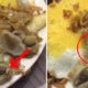 Viral Video Shows Worm 'Dancing' On Raw Chicken At Famous Banana Leaf In Bangsar - World Of Buzz
