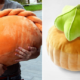 You Definitely Want To Bite Into These Delicious Cushions By Singaporean Company - World Of Buzz 6