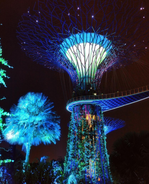14 Most Insta-Worthy Gems in Singapore You Shouldn't Miss - World Of Buzz 9