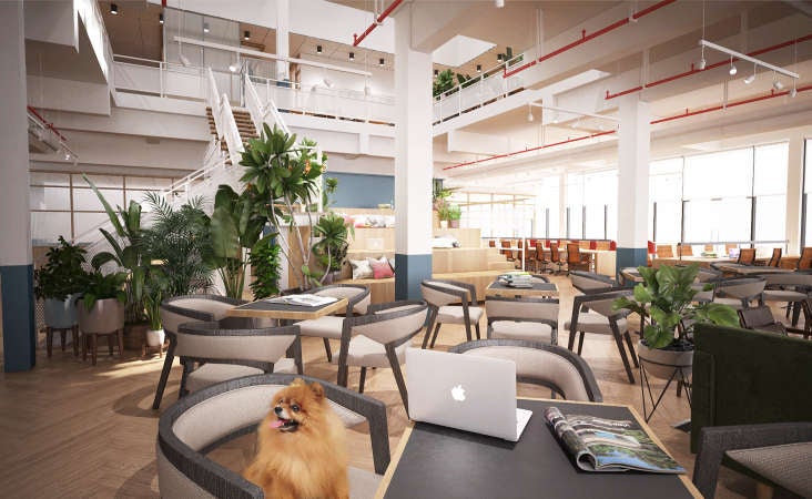 8 Coolest Co-Working Spaces in Klang Valley You NEED to Check Out - WORLD OF BUZZ 3