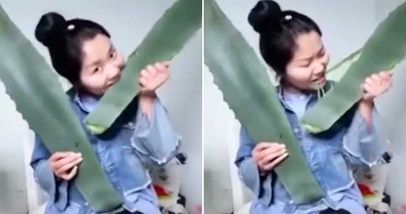 Lady Live Streams Herself Eating 'Aloe Vera', Almost Dies - World Of Buzz
