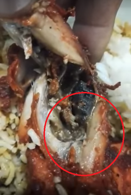 Malaysian Lady Disgustingly Finds Worms Wriggling In Fried Chicken From Kuantan Mamak - World Of Buzz 1