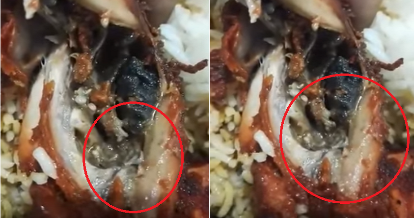 Malaysian Lady Disgustingly Finds Worms Wriggling in Fried Chicken from Kuantan Mamak - World Of Buzz 2