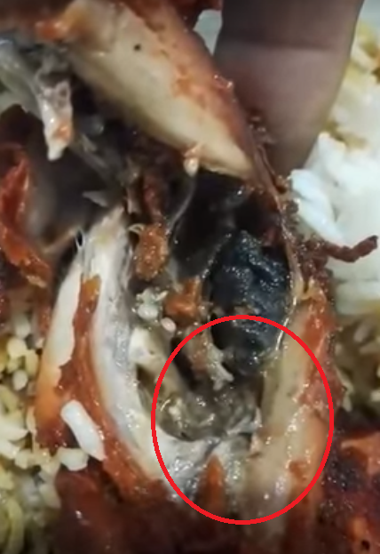 Malaysian Lady Disgustingly Finds Worms Wriggling In Fried Chicken From Kuantan Mamak - World Of Buzz