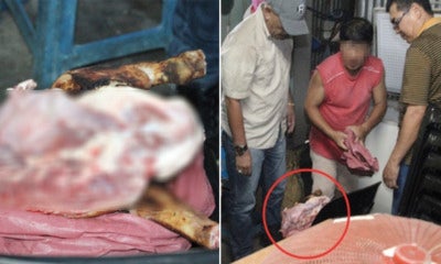 Malaysian Man Arrested For Selling Dog Meat At Local Food Stall - World Of Buzz 2