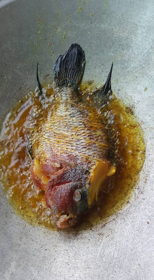 Malaysian Man Fries RM2,800 Flowerhorn Fish, Criticised by Angry Netizens - World Of Buzz 4