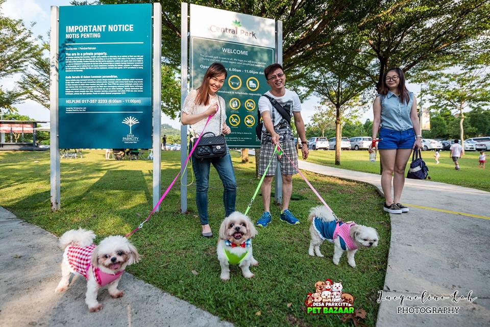 Malaysians Can Now Bring Their Cute Dogs Shopping At This Monthly Pet Bazaar! - World Of Buzz 3