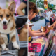 Play With Cute Doggies At This Monthly Pet Bazaar In Desa Park City! - World Of Buzz