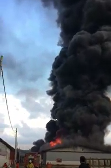 Scary Video of Johor Factory Filled with Fireworks Catching Fire Goes Viral - World Of Buzz 3