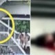 Young Lady Distracted By Her Phone Stumbles And Dies After Falling Down Stairs - World Of Buzz 3