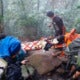 35-Year-Old Collapses And Dies While Hiking Up Gunung Nuang - World Of Buzz 2