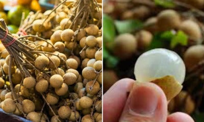 7-Year-Old Malaysian Girl Tragically Dies After Choking On Longan Fruit - World Of Buzz 2