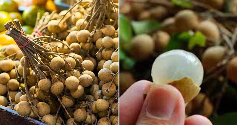 7-Year-Old Malaysian Girl Tragically Dies After Choking On Longan Fruit - World Of Buzz 2