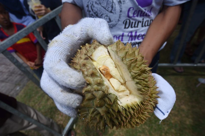 Durian 4