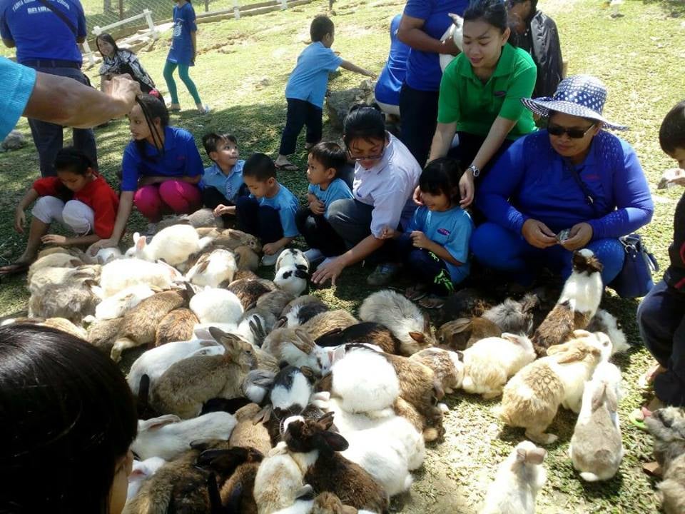Malaysian University Graduate Made RM300k in a Year from Starting a Rabbit Petting Zoo - World Of Buzz 1
