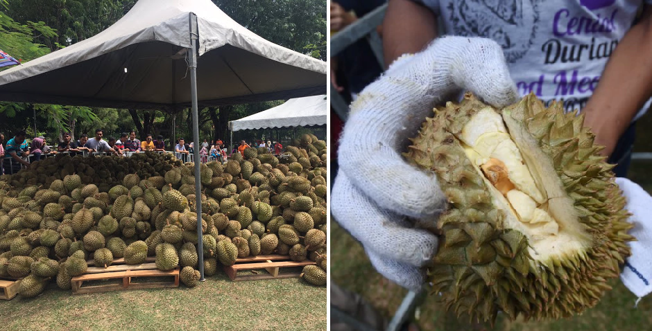 Massive Durian Event Cancelled Due To Unripe Fruit, Organisers Sell At Rm12/Kg! - World Of Buzz